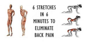 6 Stretches In 6 Minutes For Complete Lower Back Pain Relief