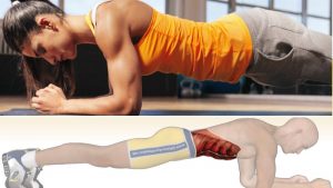 The Truth About Planks – Do They Really Work?